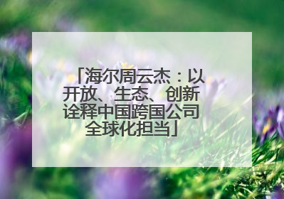 海尔周云杰：以开放、生态、创新诠释中国跨国公司全球化担当